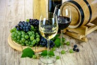 Wiedereröffnung des Weinmuseums in Malagari auf Samos