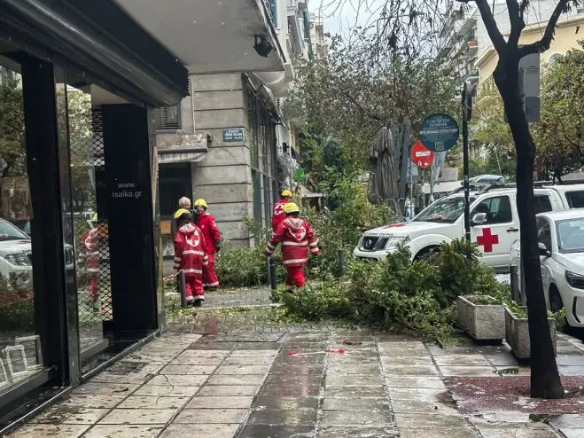 Unser Archivfoto (© Eurokinissi) entstand in der nordgriechischen Metropole Thessaloniki, die westlich von der Halbinsel Chalkidiki liegt.   