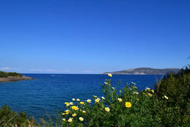 Archivfoto (© Griechenland Zeitung / Jan Hübel): Frühling am Meer