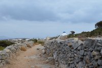 Unser Foto (© Griechenland Zeitung/ Jan Hübel) entstand auf der Ägäis-Insel Ikaria. 