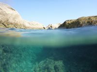 Schöner Start in den Sommermonat