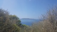 Unser Foto (© Griechenland Zeitung/ Celine Rebling) entstand in Vouliagmeni, einem Küstenvorort südlich des Athener Stadtzentrums.