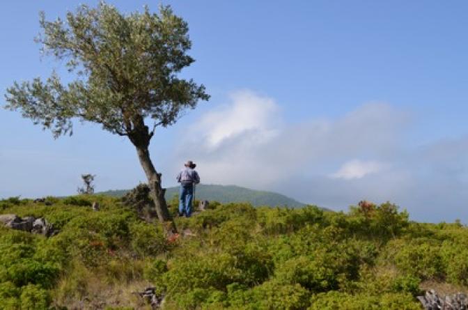 Das Wetter für Athen und ganz Griechenland