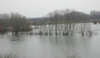 Das Archivfoto (© Eurokinissi) zeigt den Grenzfluss Evros.