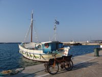 Unser Foto (© Griechenland Zeitung / Jan Hübel) wurde auf der Insel Samos aufgenommen.