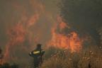 Griechenland: Erste Waldbrände umzingeln das Land 