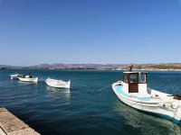 Unser Foto (© Griechenland Zeitung / Josephine Werner) wurde in Nafplio aufgenommen.