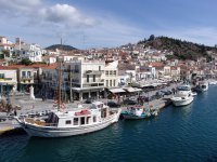 Unser Foto (© Griechenland Zeitung / Jan Hübel) wurde auf der Insel Poros aufgenommen.