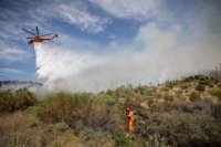 Schwere Waldbrände in Portugal: Griechenland entsendet Hilfe