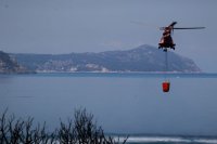 Unsere Fotos (© Eurokinissi) entstanden am Wochenende in der Region Korinthia.