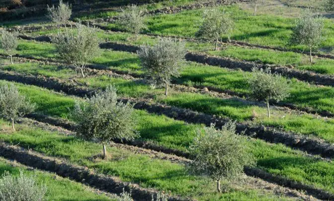 Das Wetter für Athen und ganz Griechenland