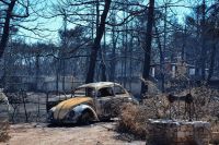 Unser Foto (© Eurokinissi) entstand im Badeort Mati in Ostattika nach dem verheerenden Waldbrand vom 23. Juli.