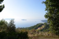 Unser Archivfoto (© Griechenland Zeitung / Jan Hübel) entstand auf der Insel Skiathos.