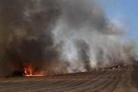 Munitionsdepot der Luftwaffe bei Waldbrand in Mittelgriechenland explodiert 