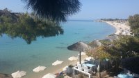 Unser Archivfoto (© Griechenland Zeitung / Elisa Hübel) zeigt einen Strand in der nordgriechischen Halbinsel Chalkidiki.