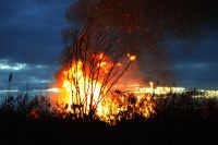 Waldbrand auf Andros mittlerweile gelöscht