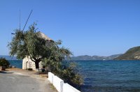 Unser Foto (© Griechenland Zeitung / Jan Hübel) wurde auf der Insel Lesbos aufgenommen.