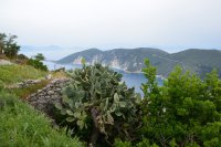 Unser Foto (© Griechenland Zeitung / Jan Hübel) enstand auf der Insel Ithaka.