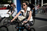 Vierbeiner dürfen für die letzten beiden Kilometer auch ins Rennen gehen. (Foto © Eurokinissi)