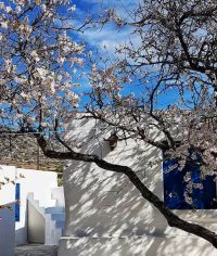 Foto © GZ-Leserin / Maja Frankhauser / Paros