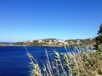 Unser Foto (© GZ / Melanie Schümer) entstand auf der Insel Andros, der nordöstlichsten Insel der Kykladen.