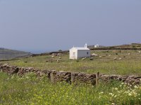 Unser Foto (© Griechenland Zeitung / Jan Hübel) wurde auf Kythnos aufgenommen.