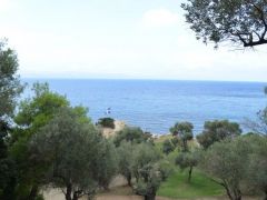 Unser Archivfoto (©Griechenland Zeitung/ Jan Hübel) entstand auf der Insel Skiathos