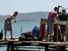 Muschelfischer bei der Arbeit (Foto: © Eurokinissi/Archiv) 