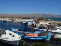 Unsere Fotos (© Griechenland Zeitung / Jan Hübel) entstanden auf der Insel Lesbos, die der Region Nordägäis angehört.