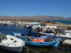 Unsere Fotos (© Griechenland Zeitung / Jan Hübel) entstanden auf der Insel Lesbos, die der Region Nordägäis angehört.